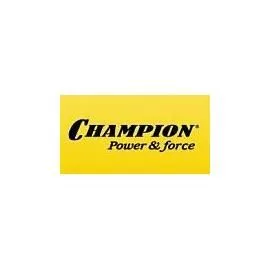 Переносное садово-парковое и силовое оборудование Champion. Переносное садово-парковое и силовое оборудование Champion.